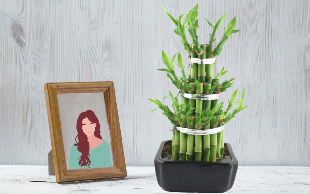 Benefits of Bamboo plant